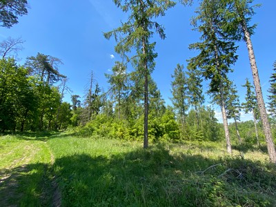 Kropáčova Vrutice - Sušno, Okres Mladá Boleslav